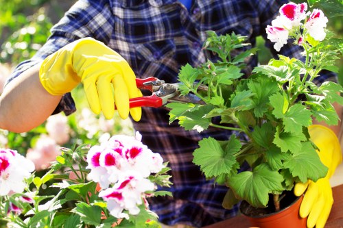 Landscape worker checking safety on a garden site