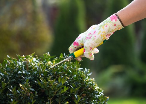 Landscape pricing estimate for a Dalston garden clearance job