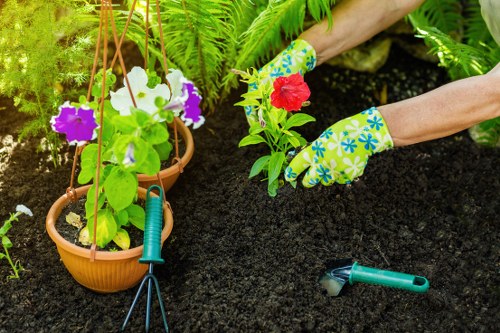 Illustration of cookie settings for a landscaping website