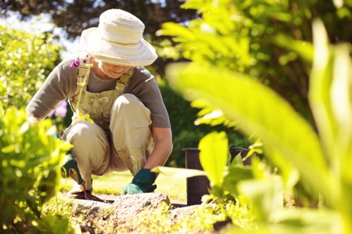 Garden area under landscaping preparation with soil and plants