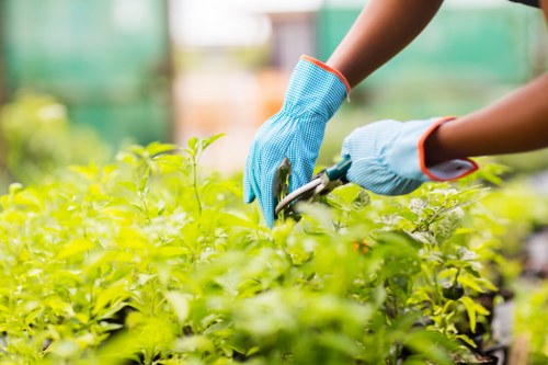 Landscaping team reviewing ethical labour standards