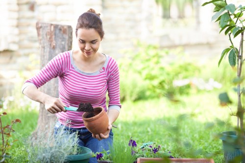 User browsing landscaping content with analytics cookies