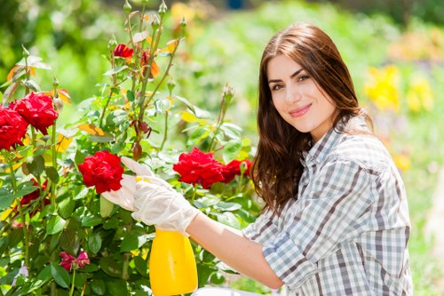 Ongoing accessibility commitment for Dalston landscaping services
