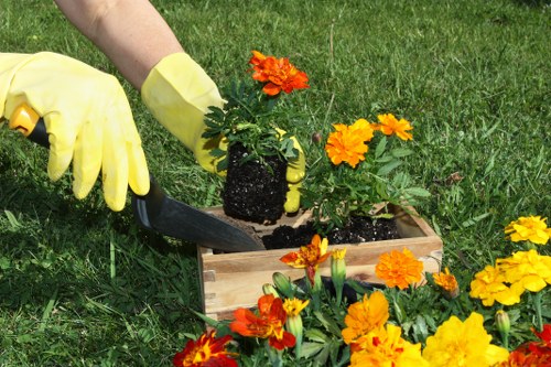 Local garden makeover process with paving and planting work