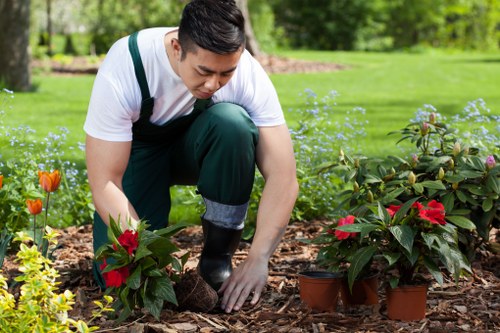 Customer service process for resolving landscaping concerns professionally