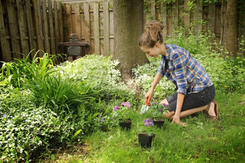 Planning and preparing a Dalston garden transformation with access in mind