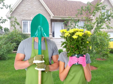 Screen-reader support and accessible garden services in Dalston