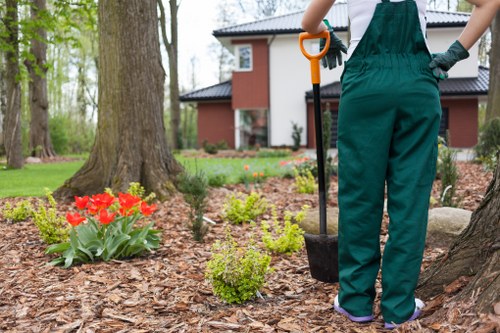 Landscaping waste sorted for lawful removal and disposal